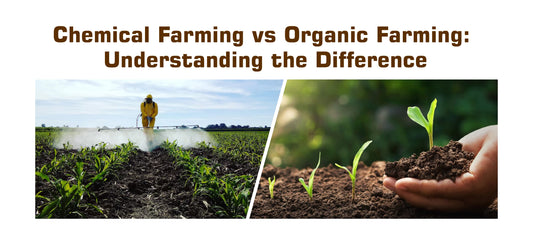 🌿 Chemical Farming vs Organic Farming: Understanding the Difference