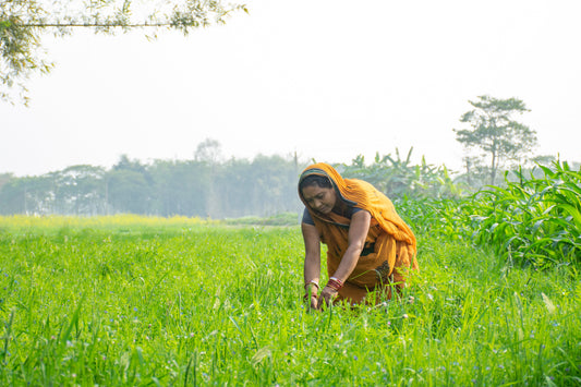🌱 Organic Farming: A Path to Healthier Living and Sustainable Agriculture