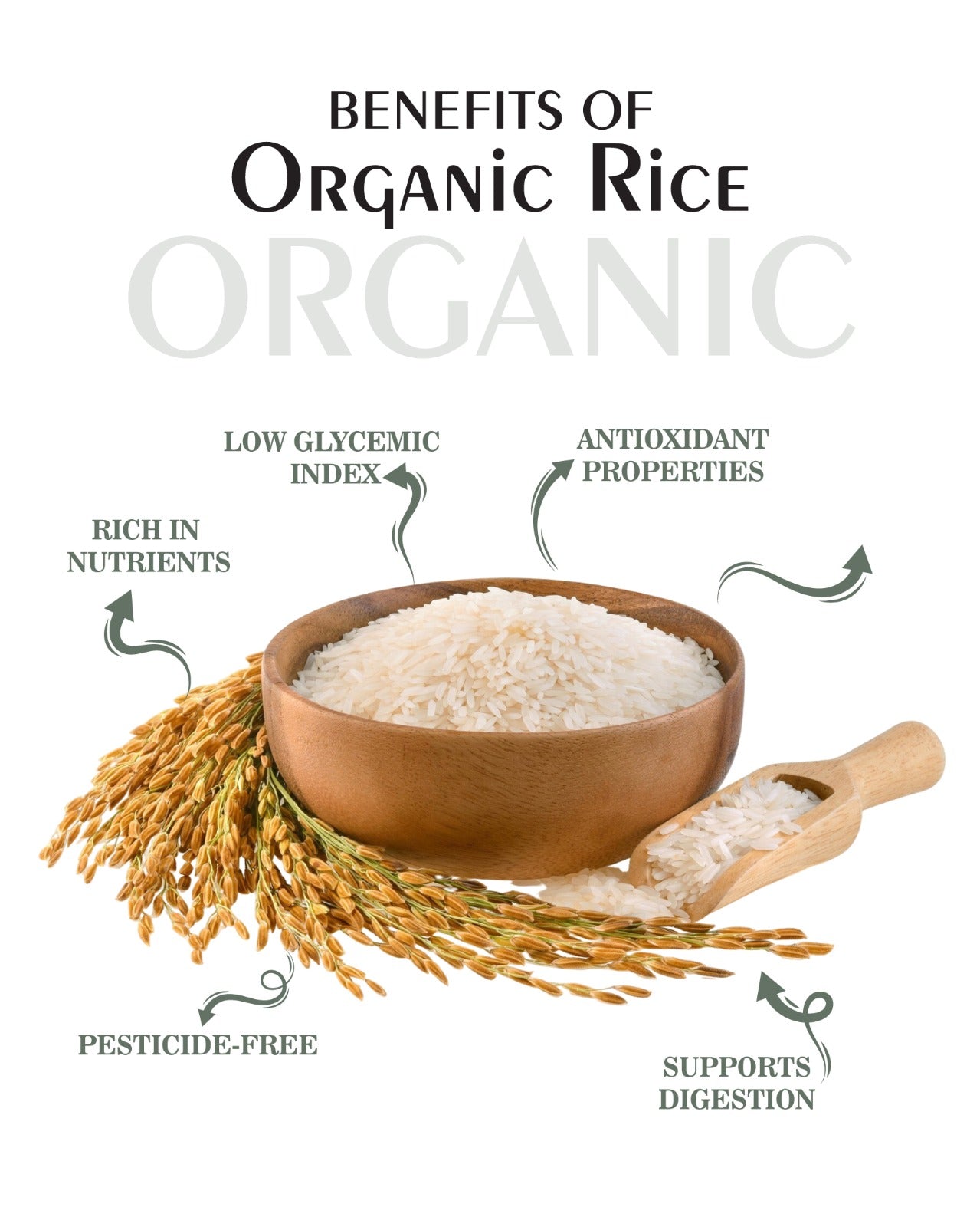 Organic Rice (Krishna kamod)