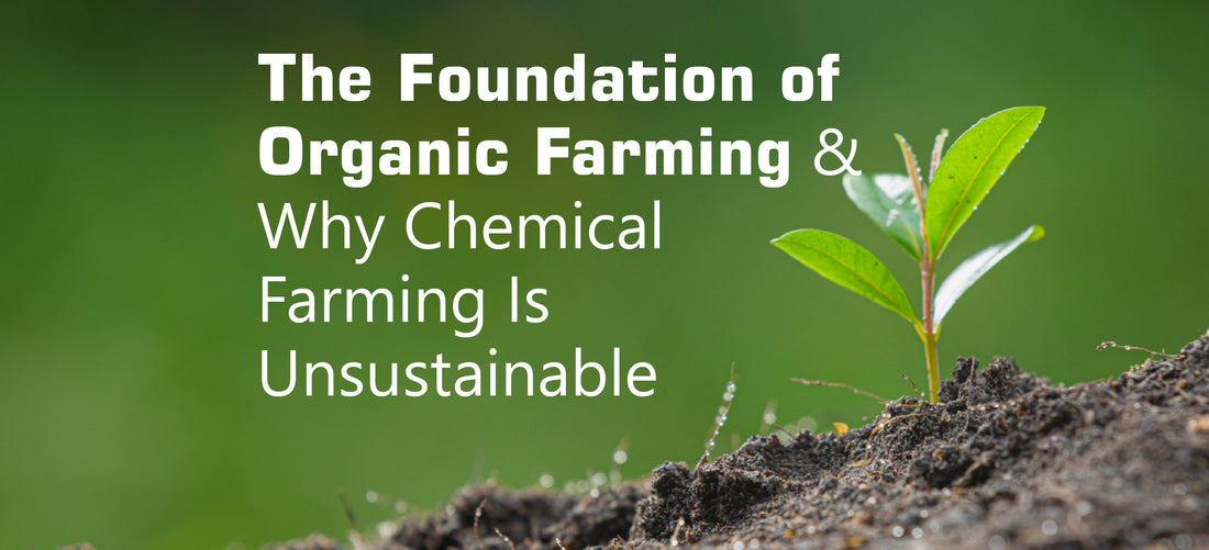 🌾 The Foundation of Organic Farming & Why Chemical Farming Is Unsustainable