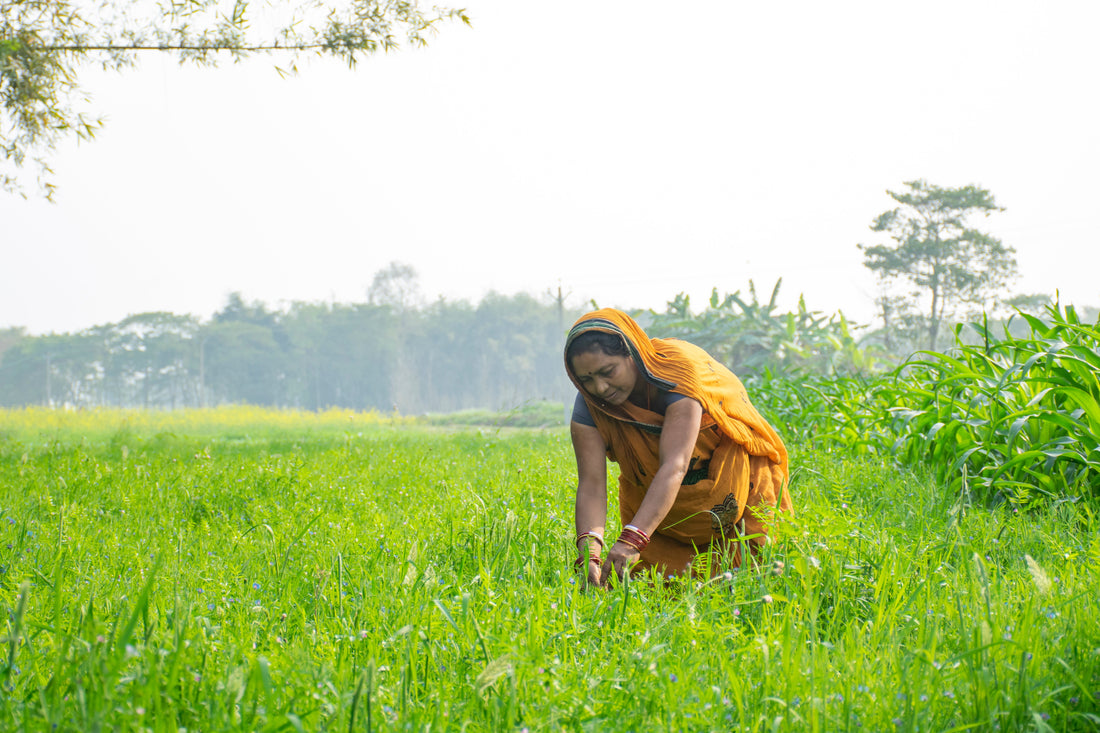 🌱 Organic Farming: A Path to Healthier Living and Sustainable Agriculture